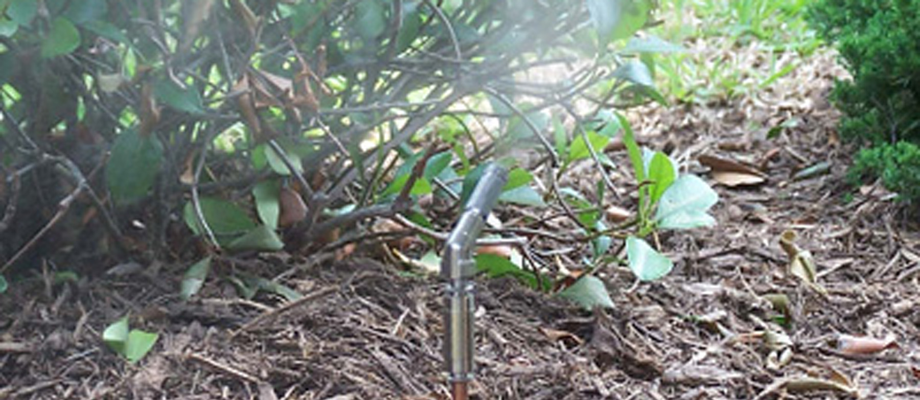 $250 Off Mosquito Misting System